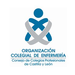 Consejo de Colegios Profesionales de Diplomados en Enfermería de Castilla y Leó